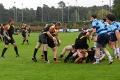 vets-oystersducks 18-10-2015 020