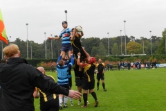 vets-oystersducks 18-10-2015 036