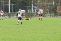 Vets - PSV 18-12-2011